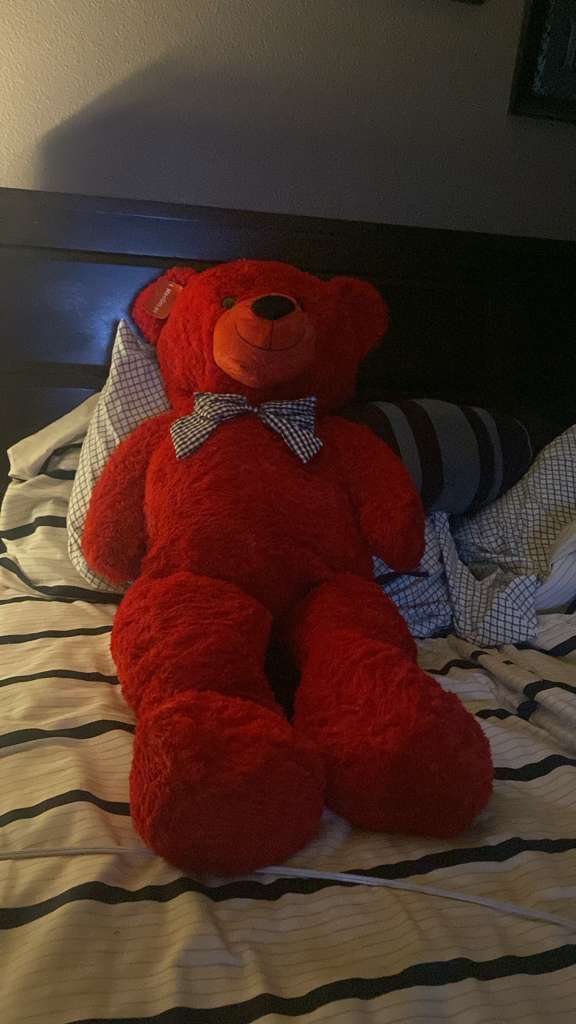 Giant Teddy Bear 